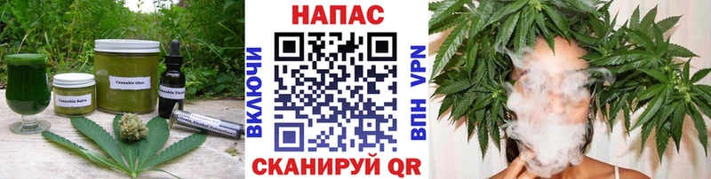 Cannafood конопля  Купить где  Тында 