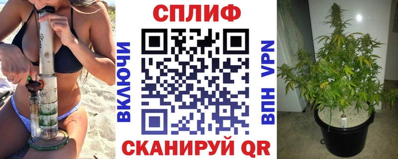 Купить  Тында  Бошки Шишки сатива 
